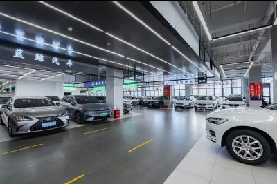 LEO EV CAR used vehicle stock